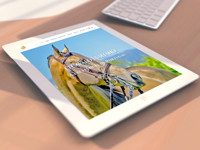Centro Equestre